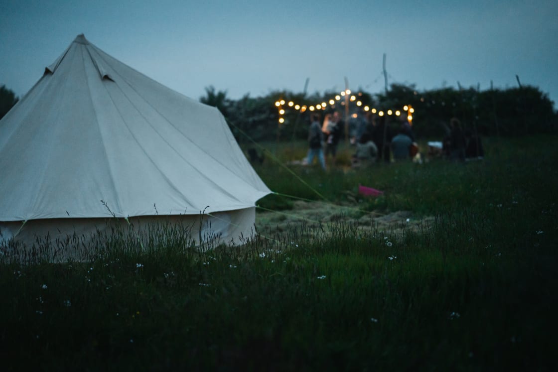 Felin Uchaf Meadow Camping