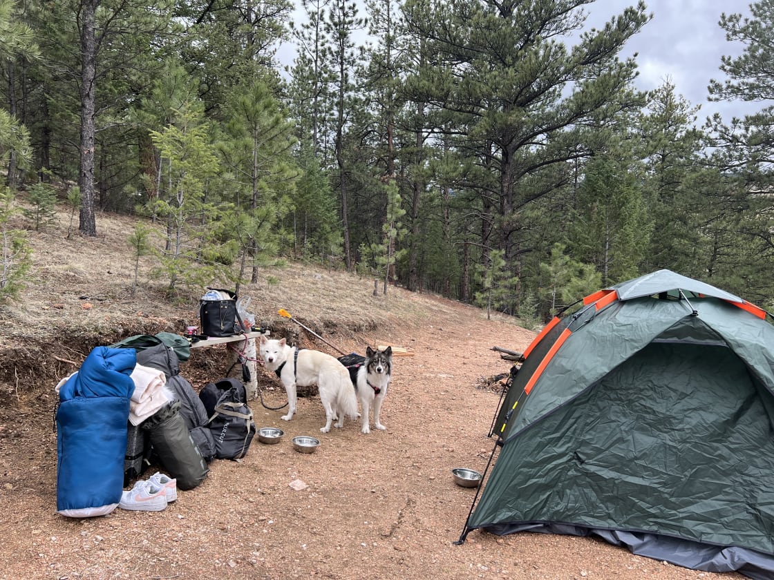 Camp T.N.T  [Rocky Mountains]