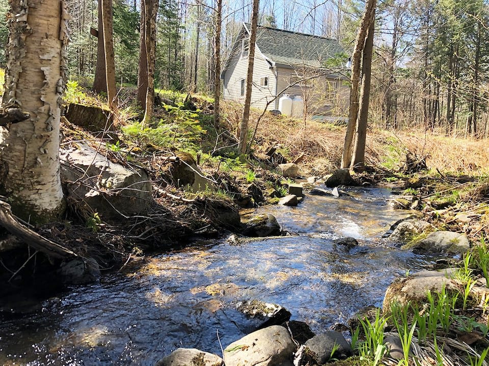 Small stream behind cabin