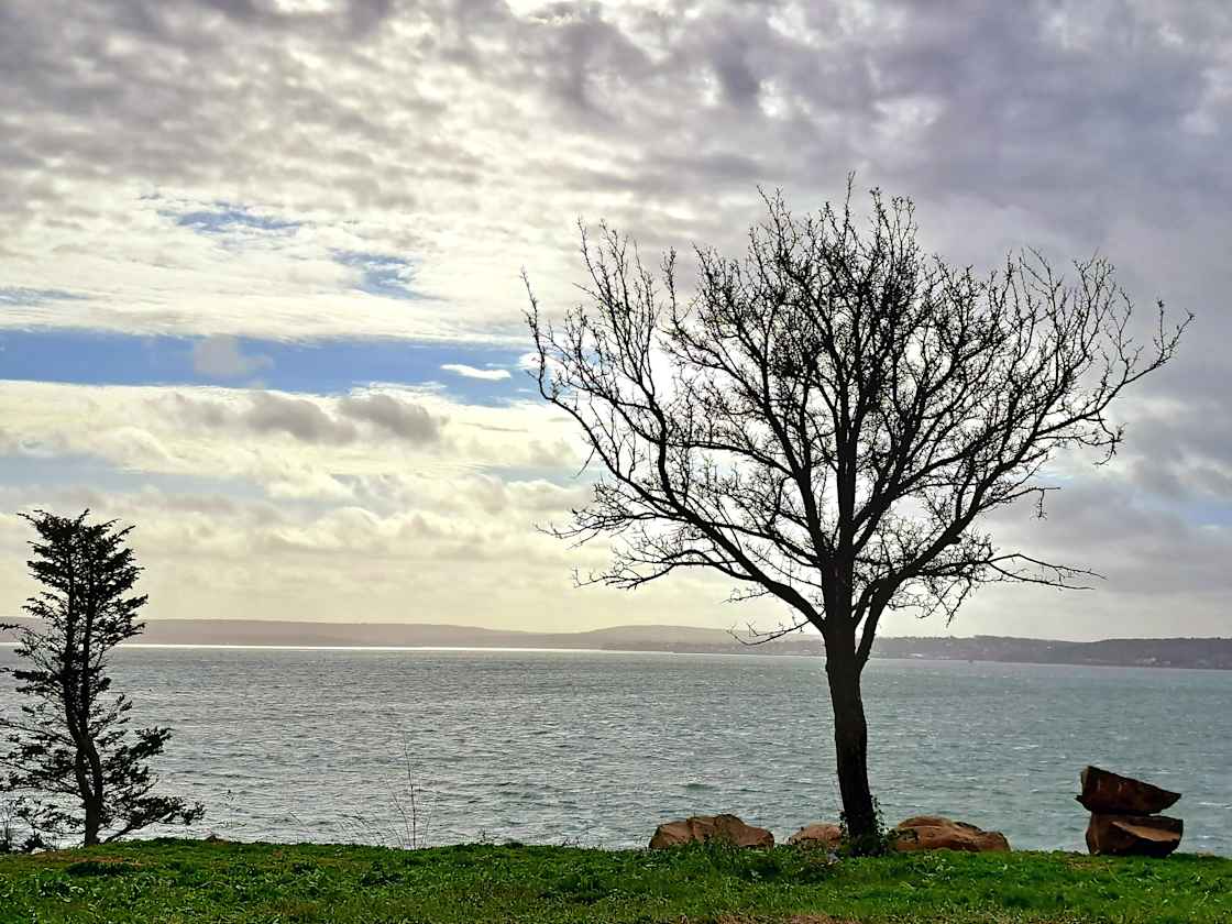 The lookout at McWinnie's Point. 