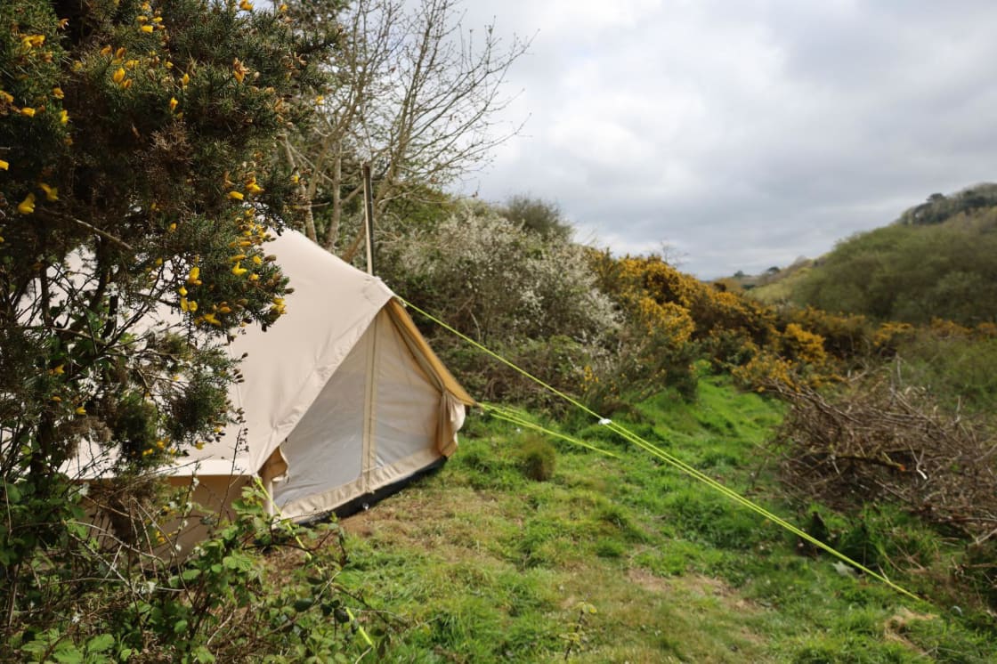 Bell tent nestled in nature, message for more info!