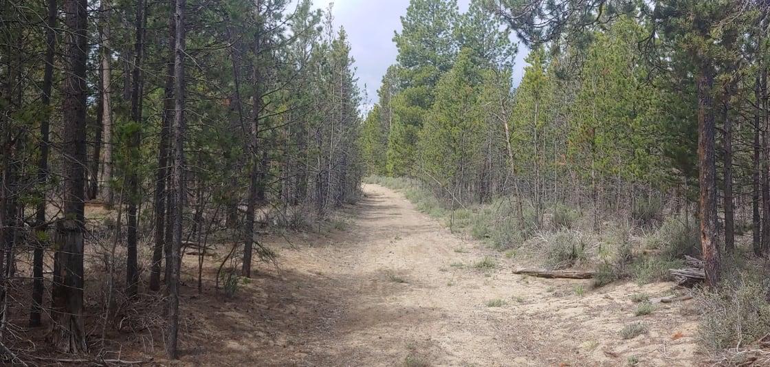 Miles and miles of fire roads behind the property for ATVs, snowmobiles, mountain bikes and hiking.