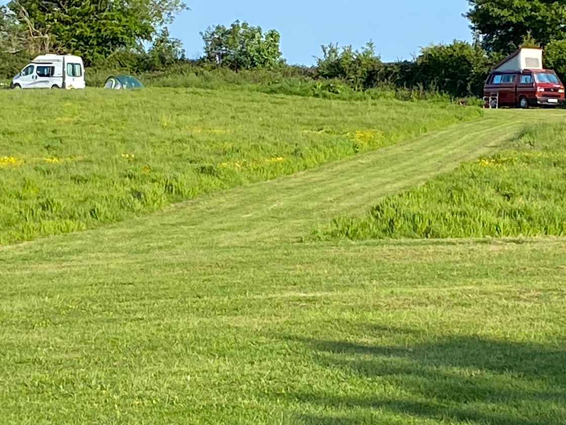 Plenty of room between pitches