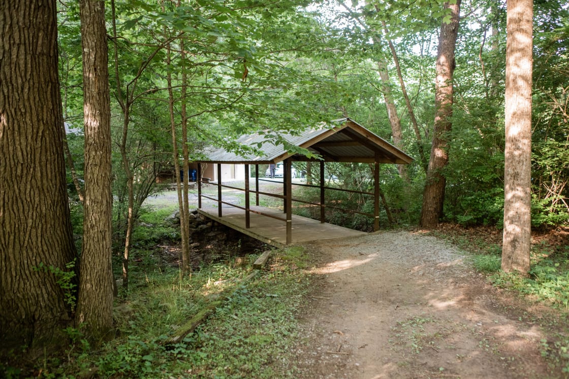 The camp has a couple cool bridges so you can cross the creek easily. 