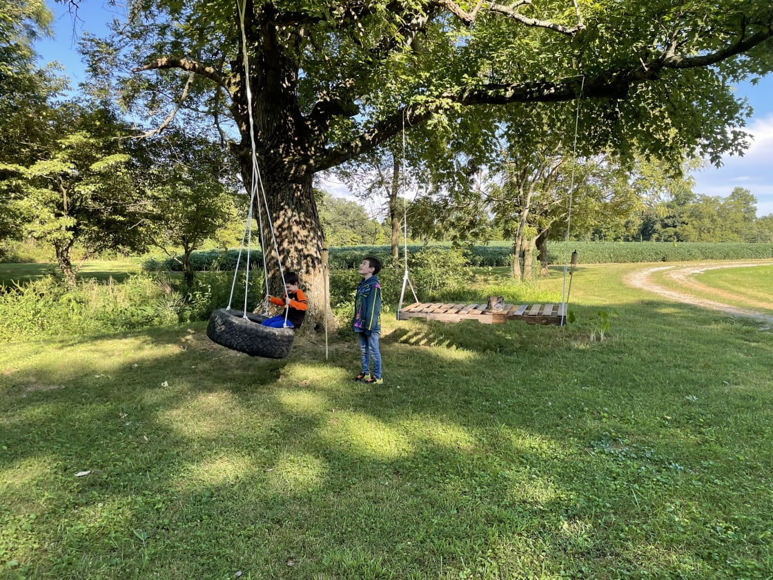 We have a tire swing for the little ones 