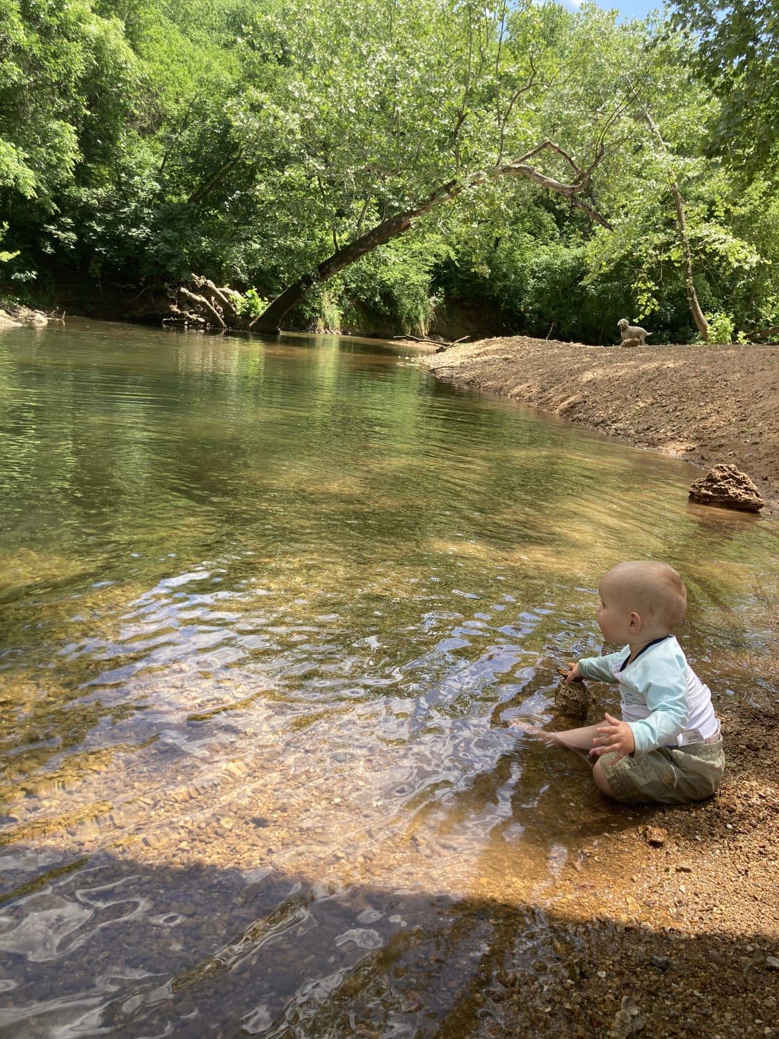 We did a combination of driving and hoping to get to the creek at Elizabeth’s place, took us about 20 minutes with young kids. It was well worth it. Here, the baby plays in the shallows 