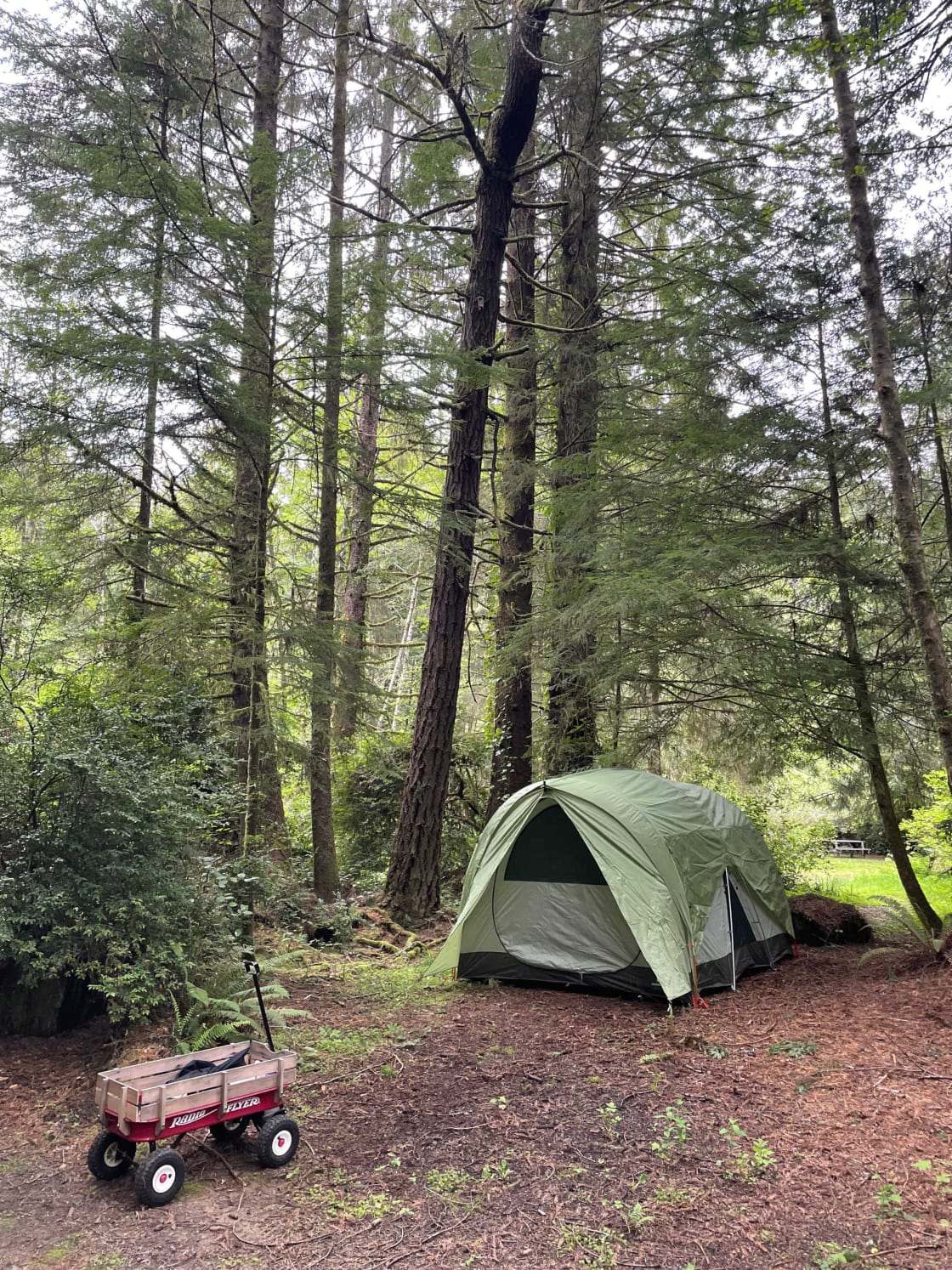Mystic Forest Campground