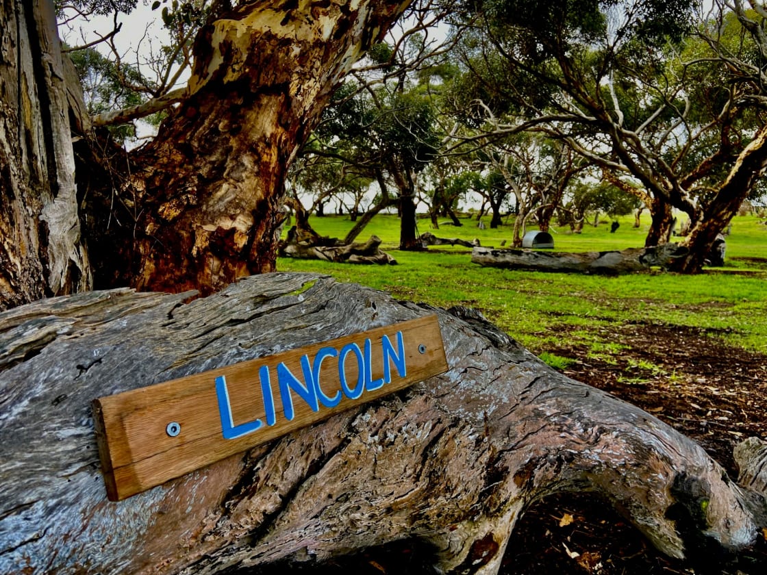 Lincoln Campsite.