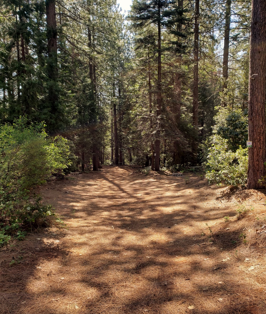 Path to Small Tent Sites