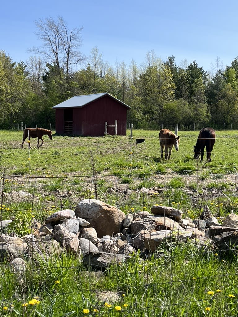 Adirondack View Farm in Essex, Ny