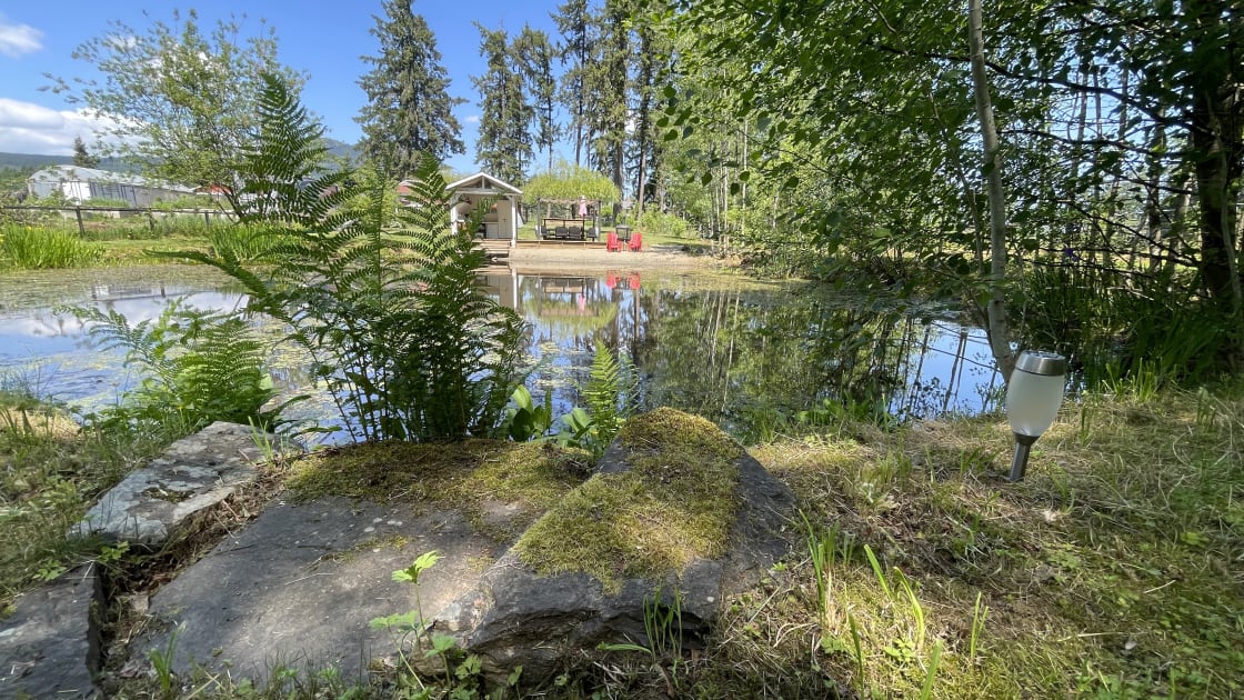 View from South side of pond