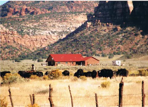 LV Bar- Finicum Ranch