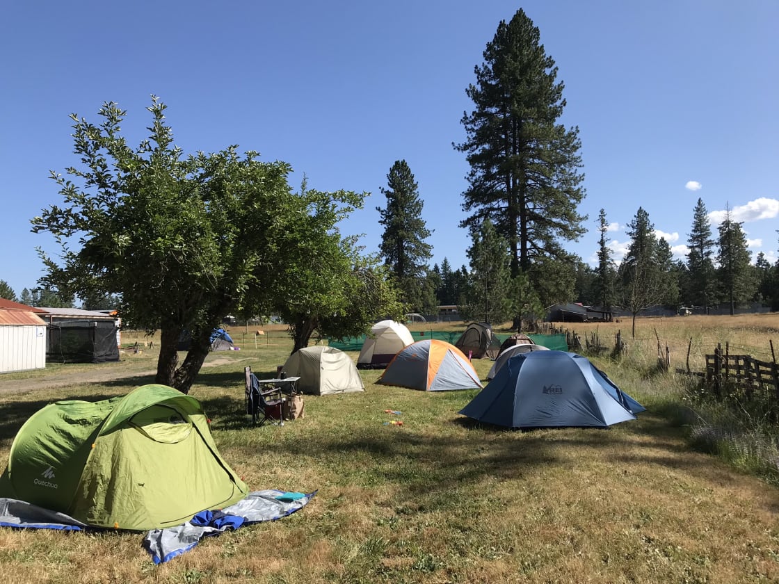 Oregon Country Fair Camping