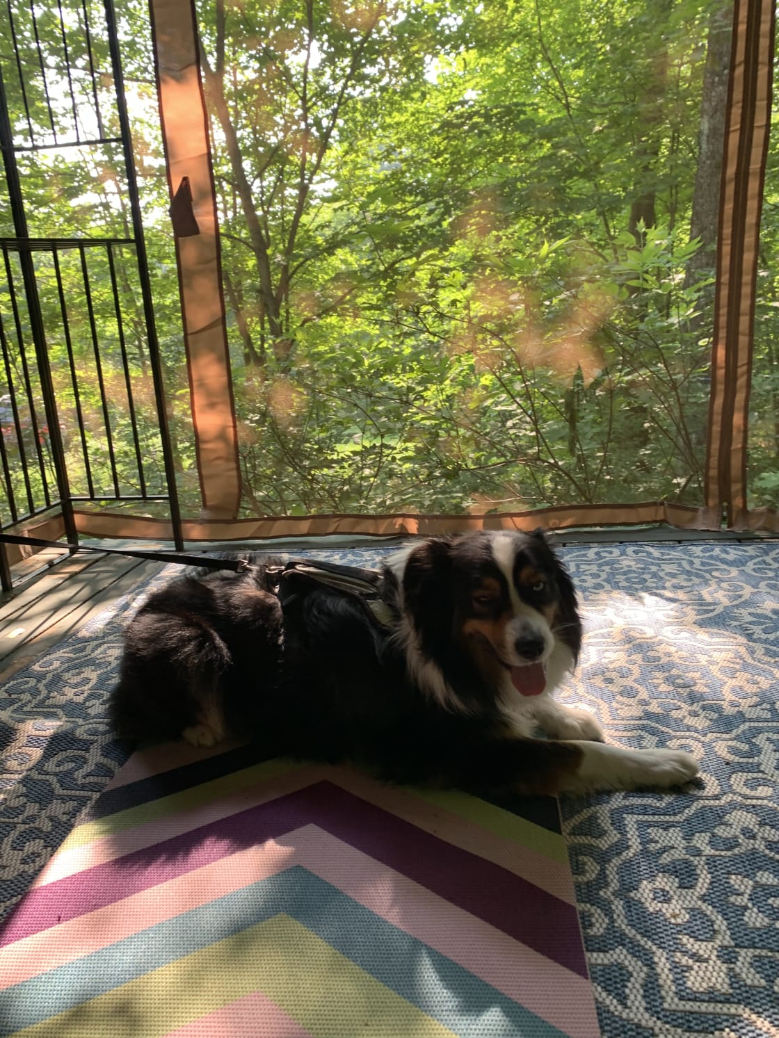 Enjoying yoga on the screened porch! We brought our own mats and loved practicing amongst the trees, bug free.