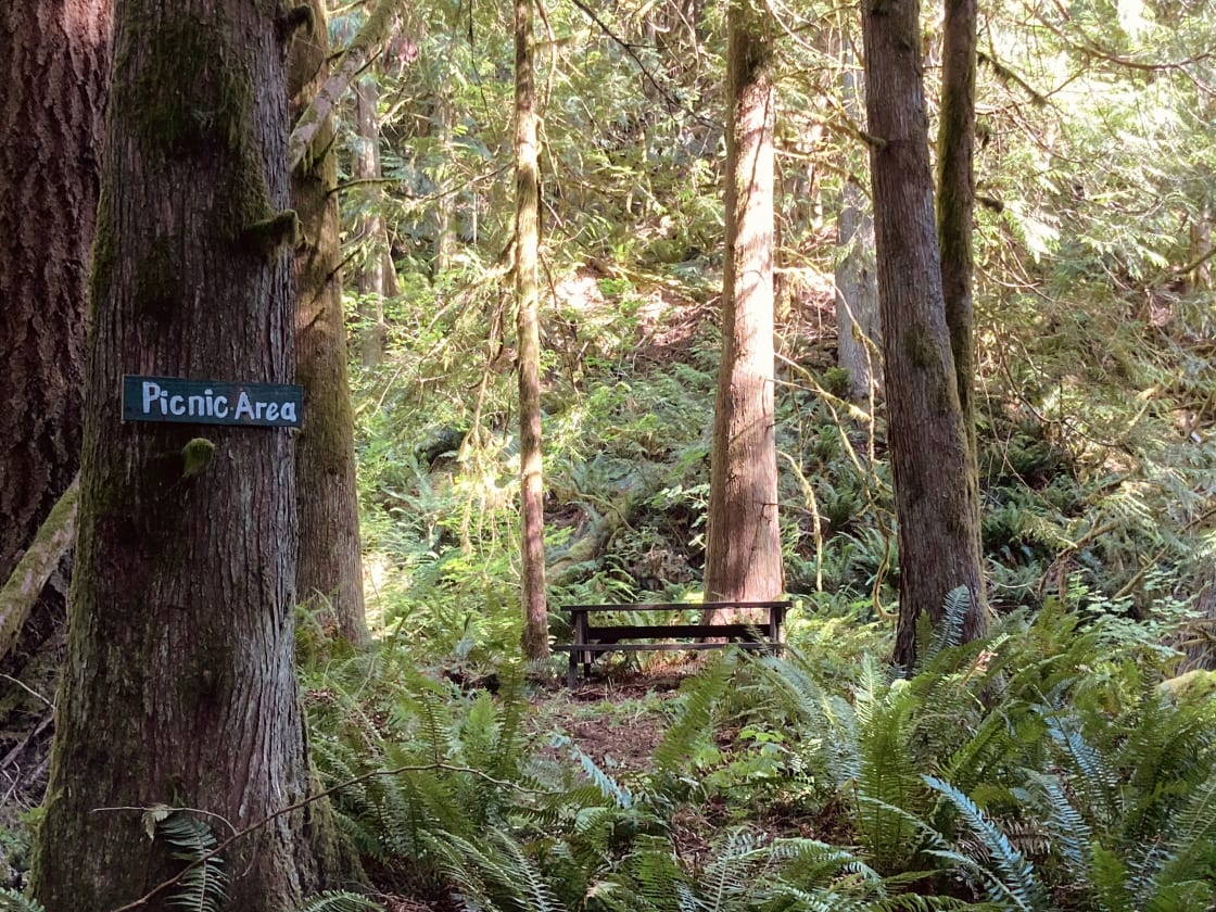 Our creekside picnic area located a short walk from your site.