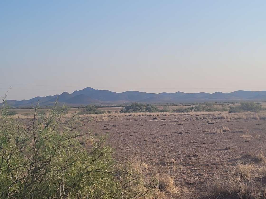 Lobo Valley, east