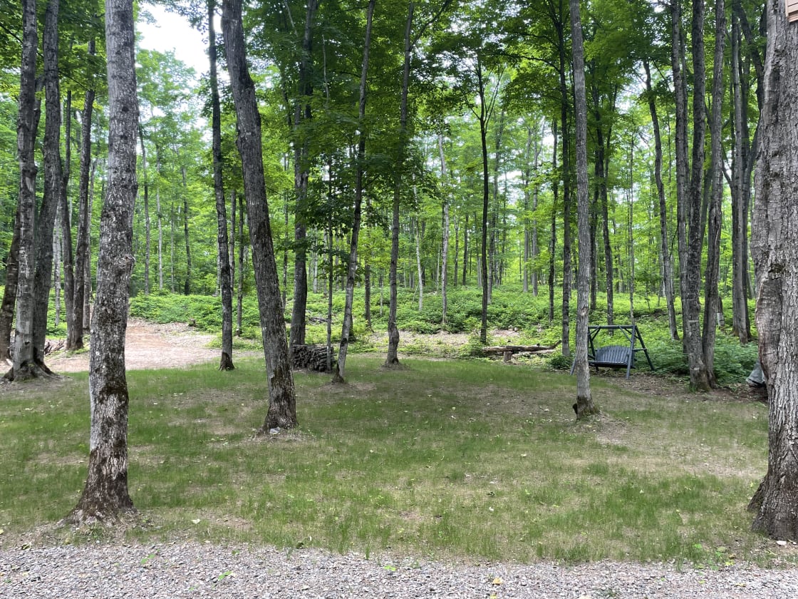 One of multiple tenting areas. To left is gravel area for vans/ campers.