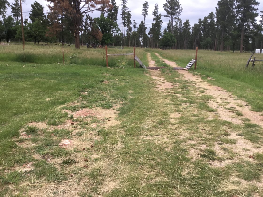 Lane to campsite with cattle guard