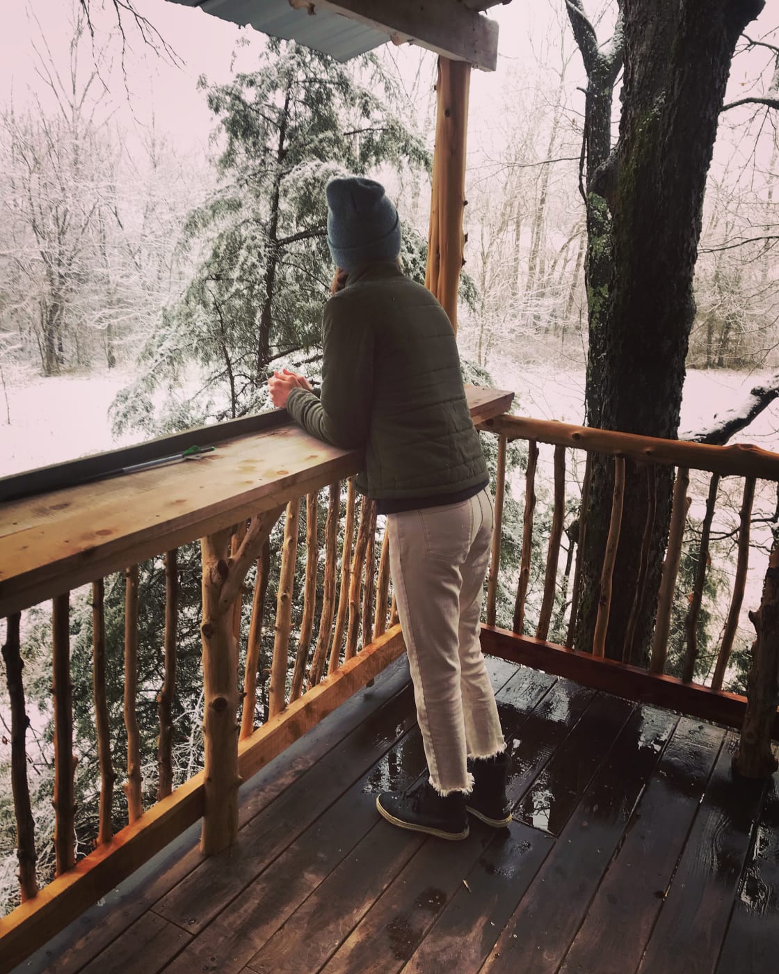 View from the treehouse deck in winter