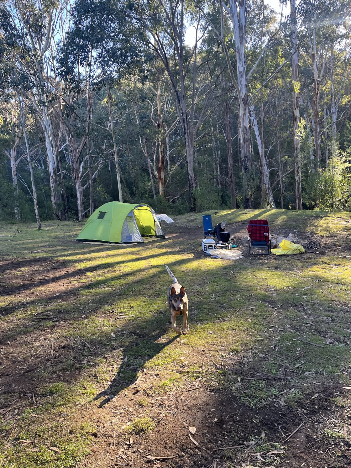 TJ’s 4B Park & Camping + Hiking