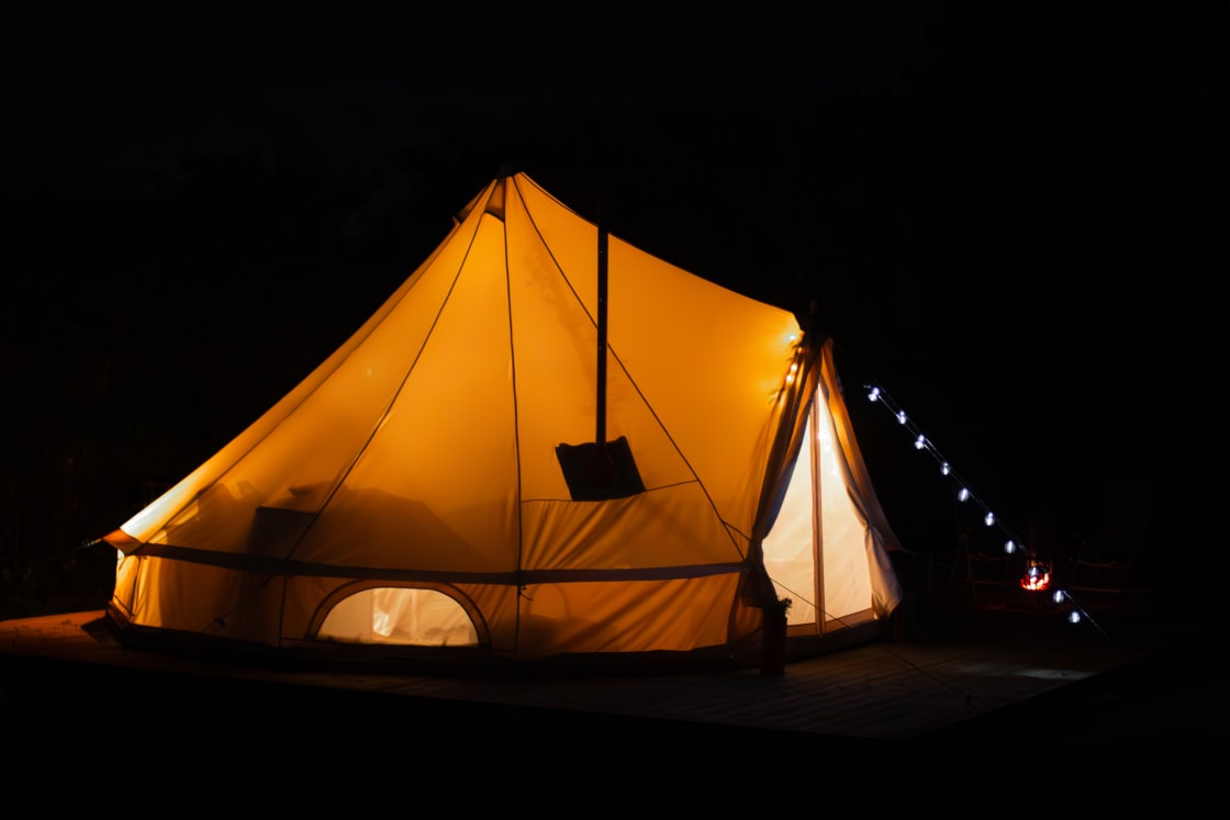 Elderflower Tent at Night
