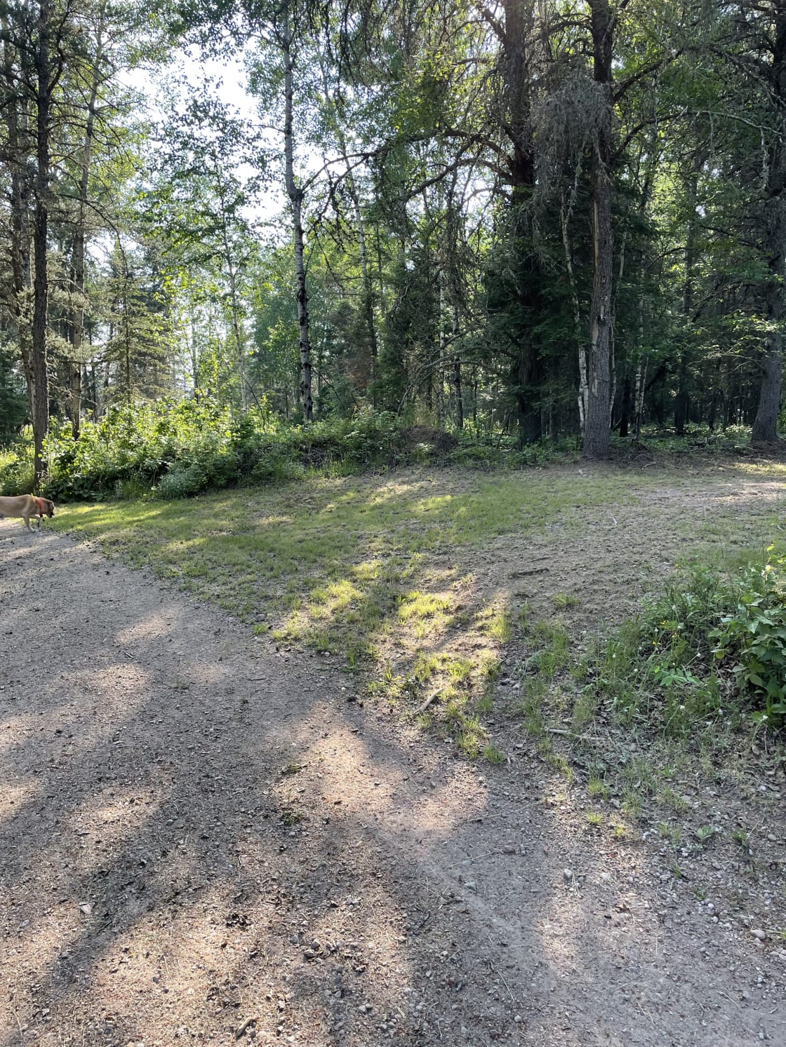 Wooded camping in Babbitt MN