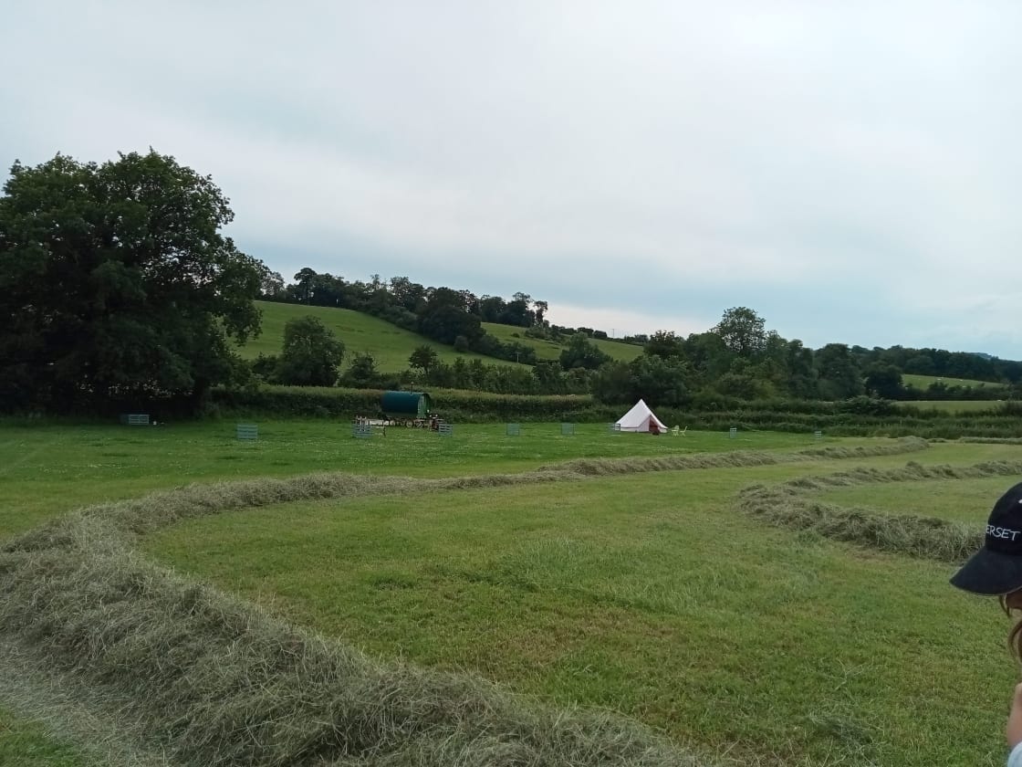 The Hay Field Sunnyhill Campsite
