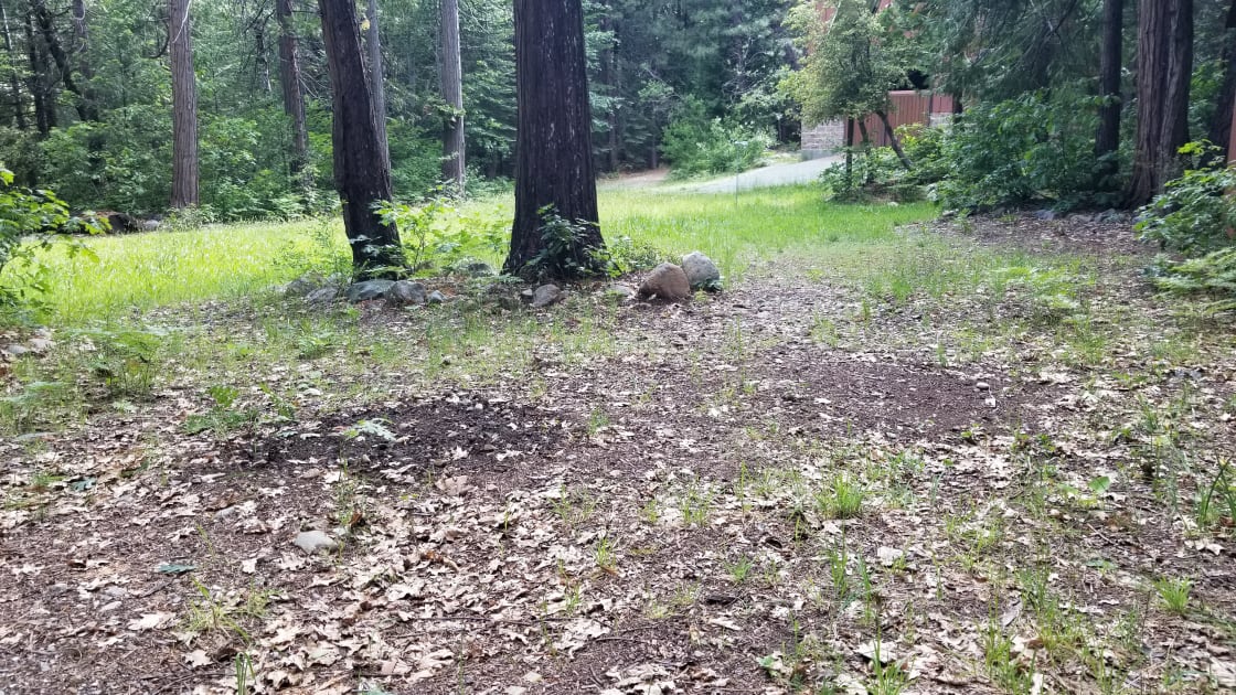 Bright Bear Camp in Tahoe NF