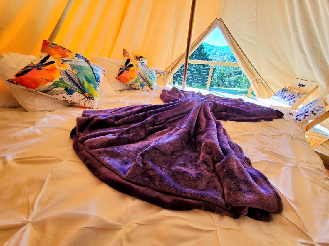 Dragonfly Meadows Glamping
