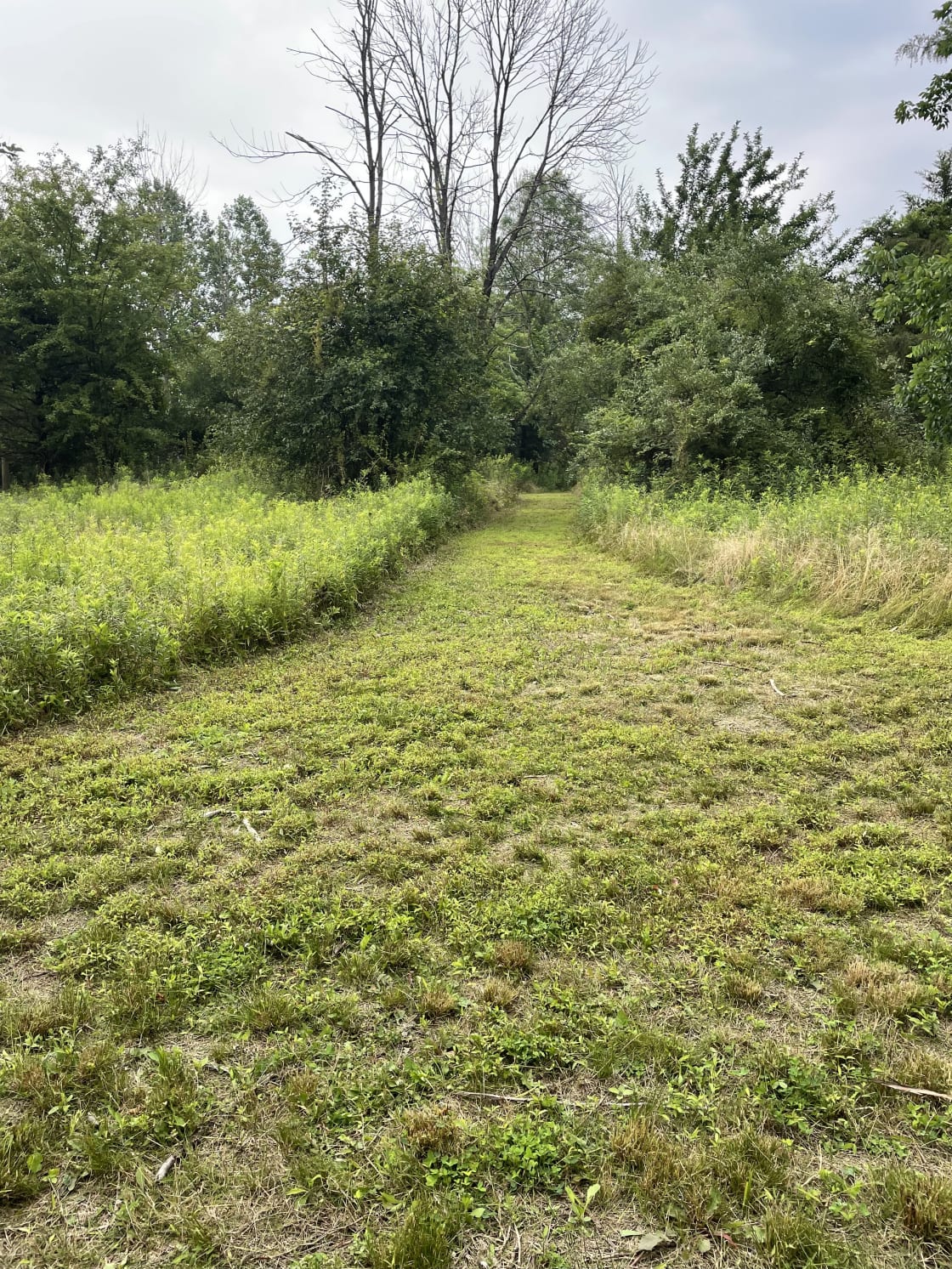 Our property has miles of mowed trails! All mapped out, each trail has its own name and when you arrive, we give you a map so you won’t get lost!