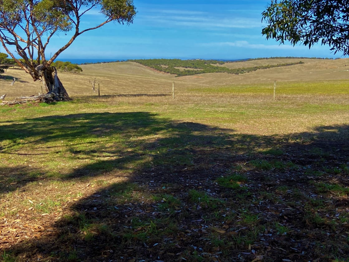 Lincoln is a big, cleared area with amazing views of the ocean, rolling hills and Sugar Gums on Parrara View.