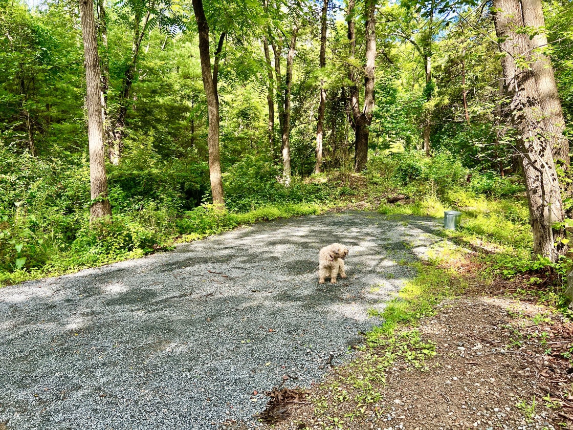 Secluded, with no neighbors or street noise! Our RV Tuckaway is located right at the foot of our trail into the forest.