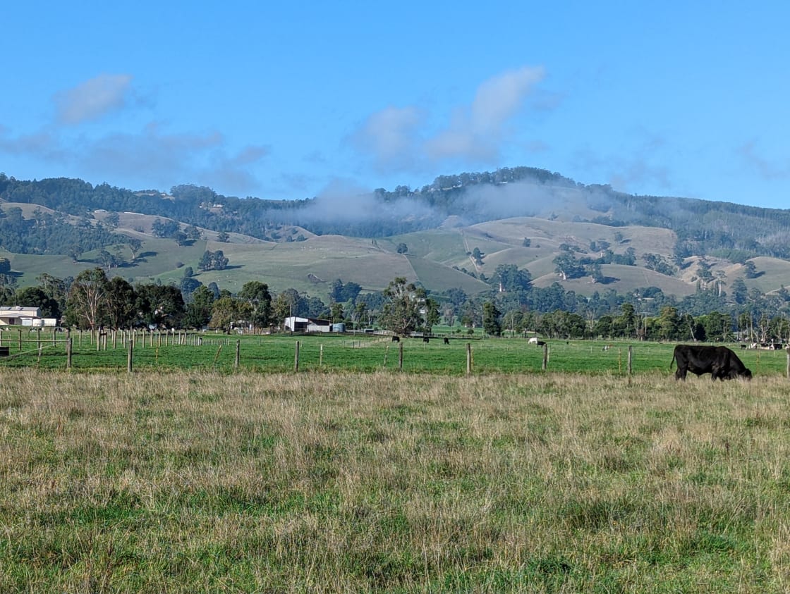 View of Mt Worth from the farm