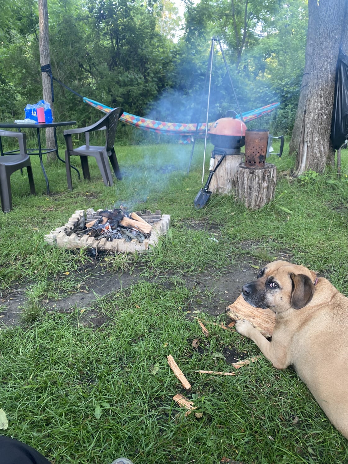 Our dog Hope loves camping with us and she loved this place. 