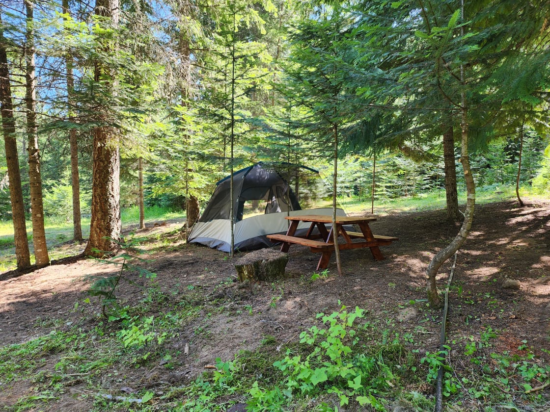 Extraordinary Camping