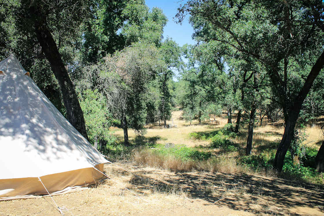 Camp Wayward