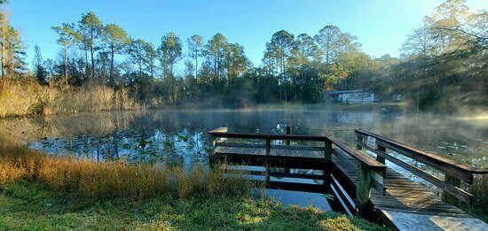 Suwannee River Hideaway Campground/RV park