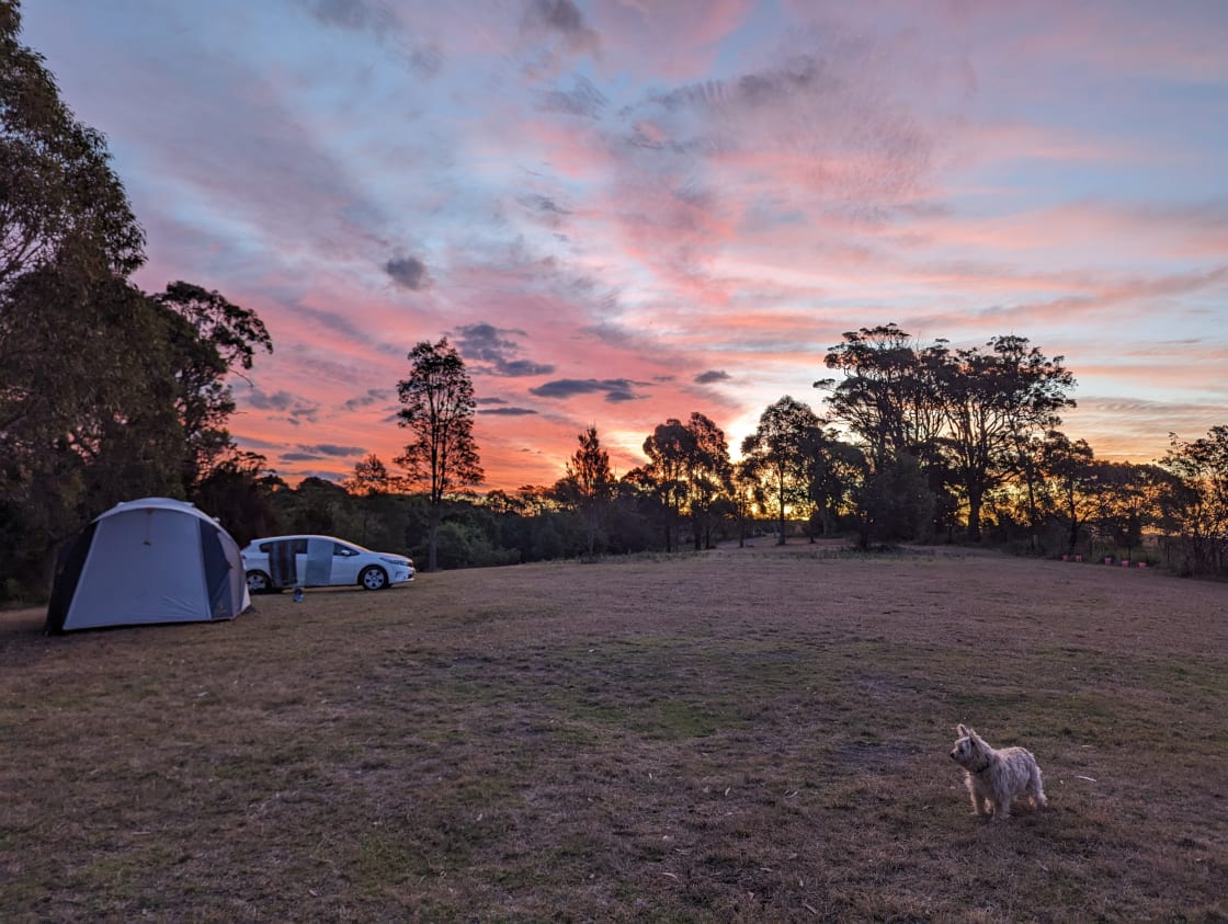 Dog friendly with beautiful sunsets, place to ourselves 