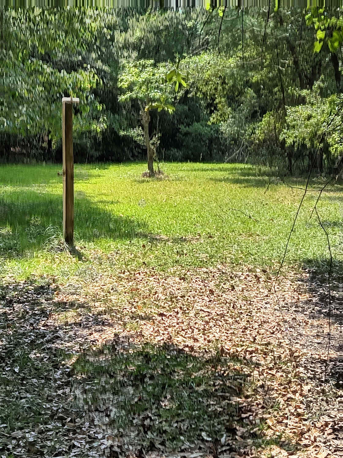 Shilohs Animal Sanctuary