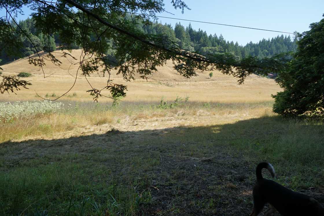 Otter Valley Farm