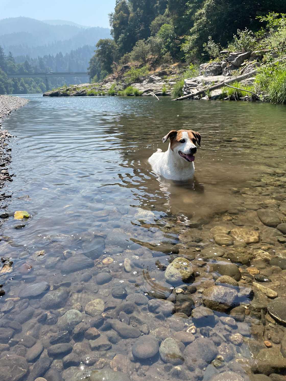 Private lagoon 