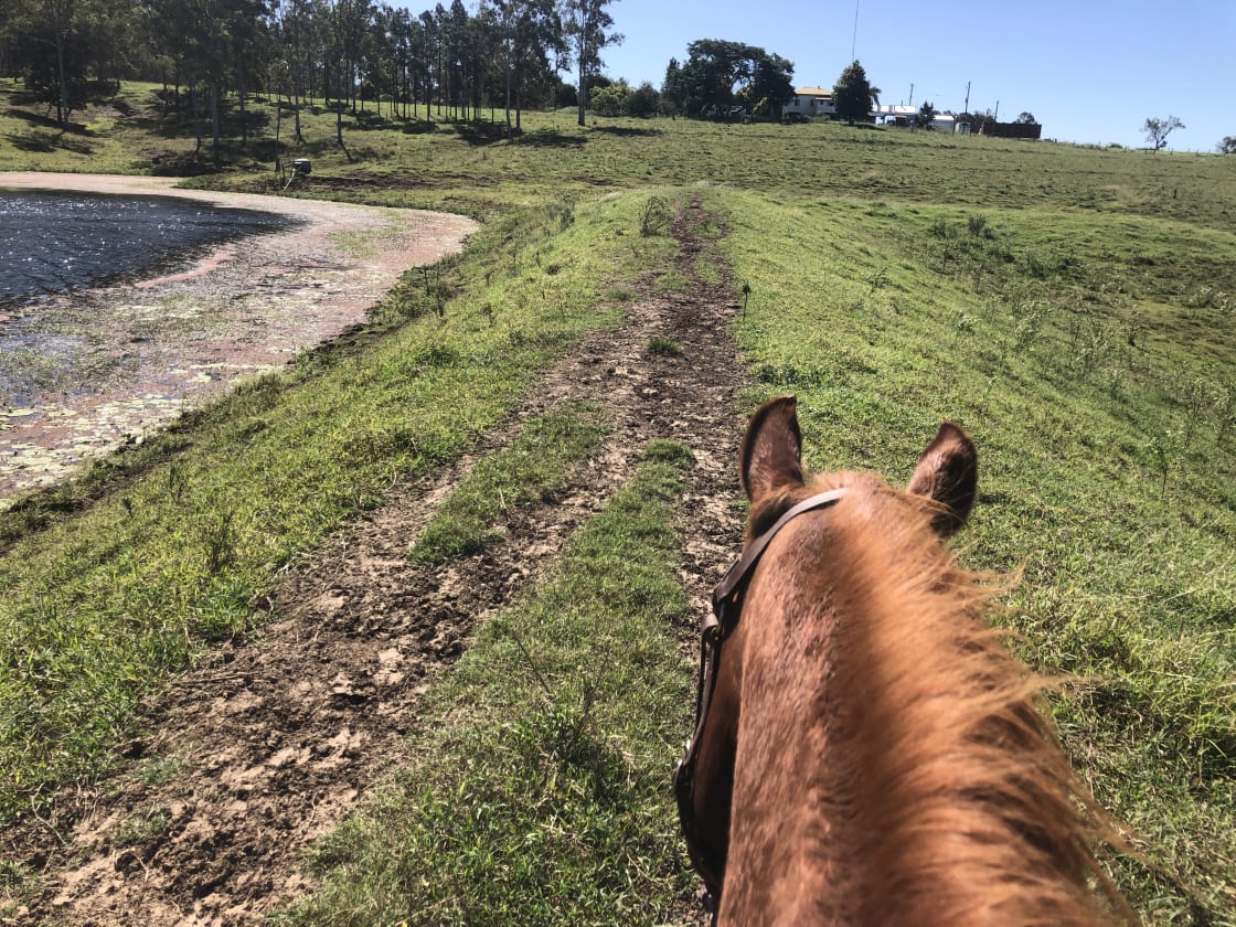 Riding on the Farm