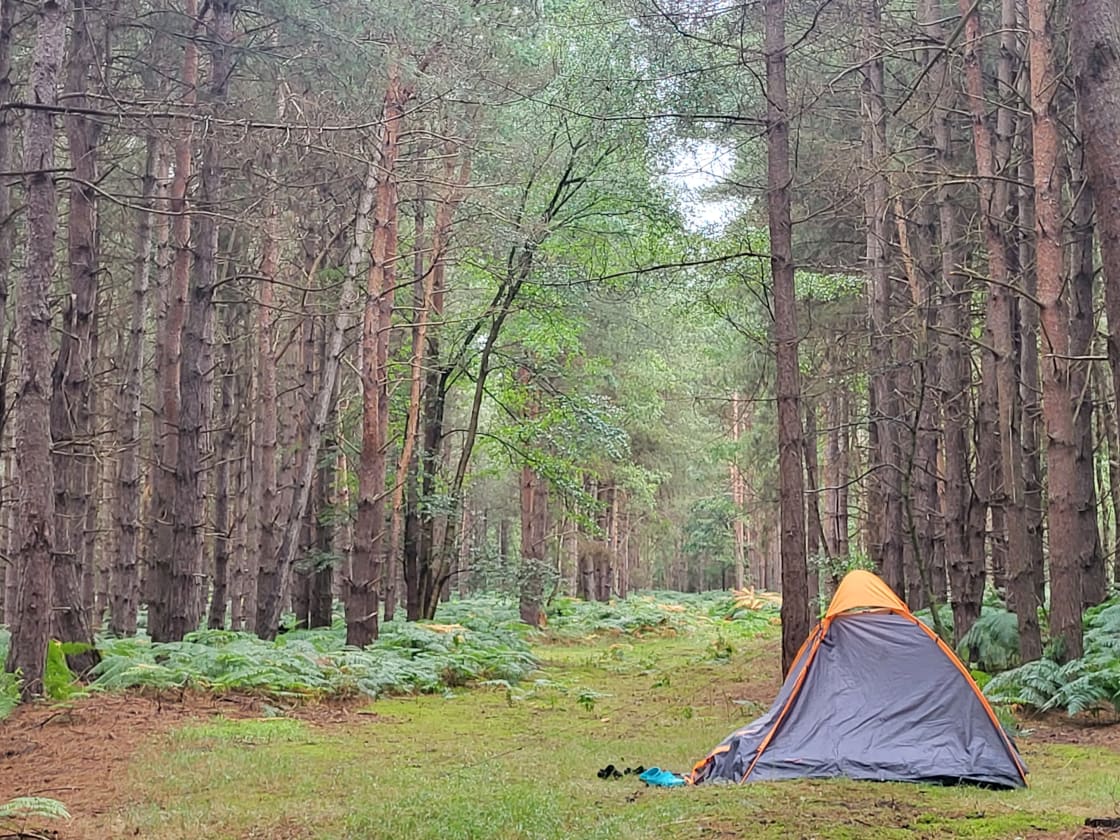 Holistic Woods Campsite