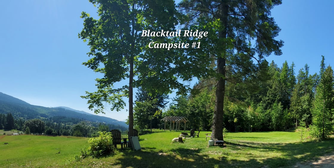 Blacktail Ridge