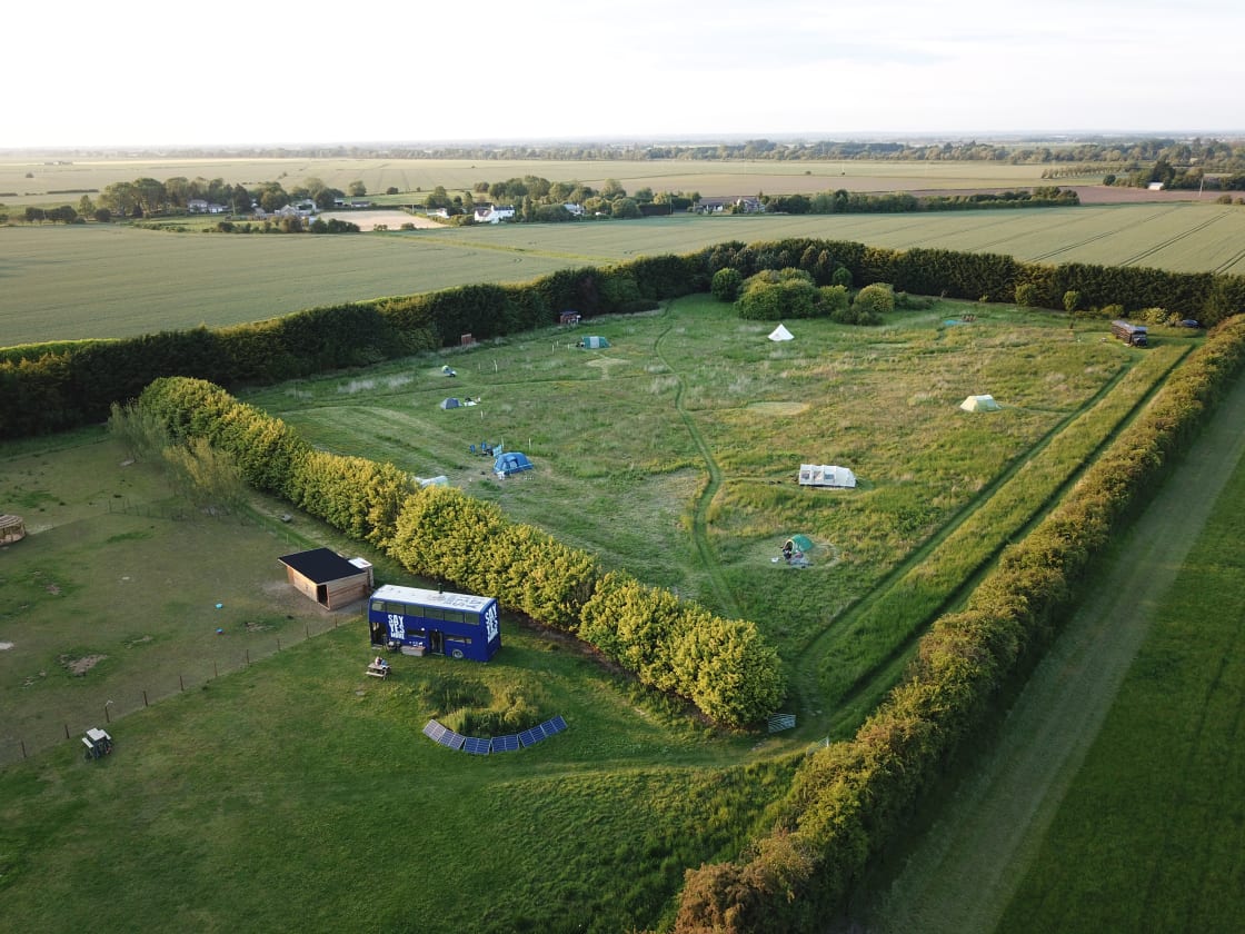 The camping meadow from above, with mowed pitches and paths within a rewilding project full of young trees and happy wildlife