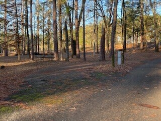 Texas State Railroad Campground
