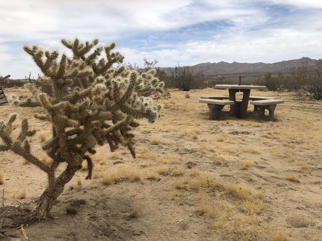 The Picnic Parcel at Desert Trail