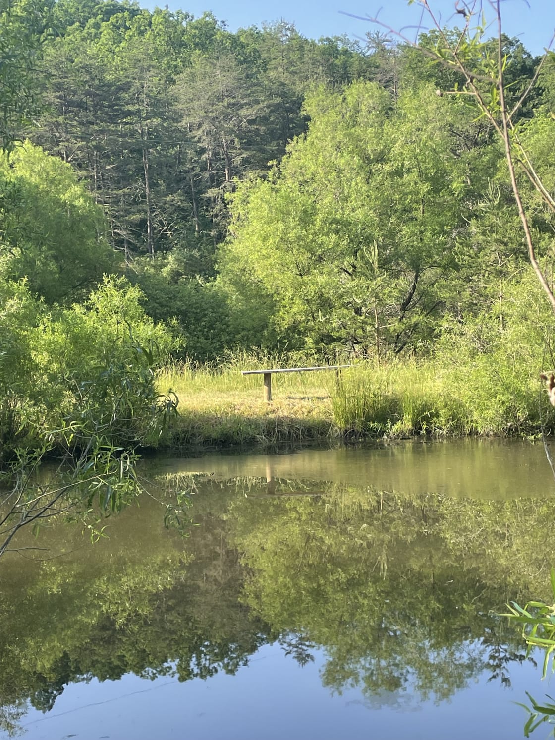 Pond stocked with bass and blue gill
