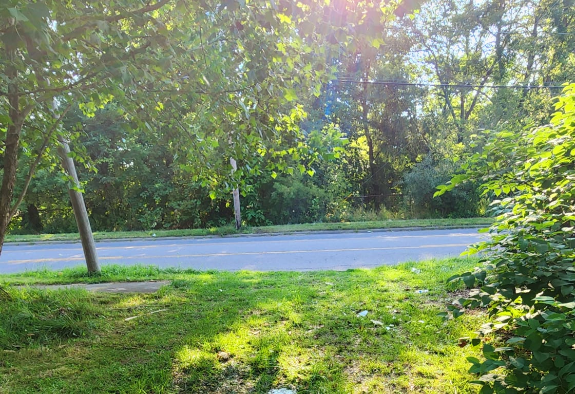 This is a photo of the driveway looking out towards the street. As the driveway is grass covered,  the best way to spot it is where the sidewalk ends. 