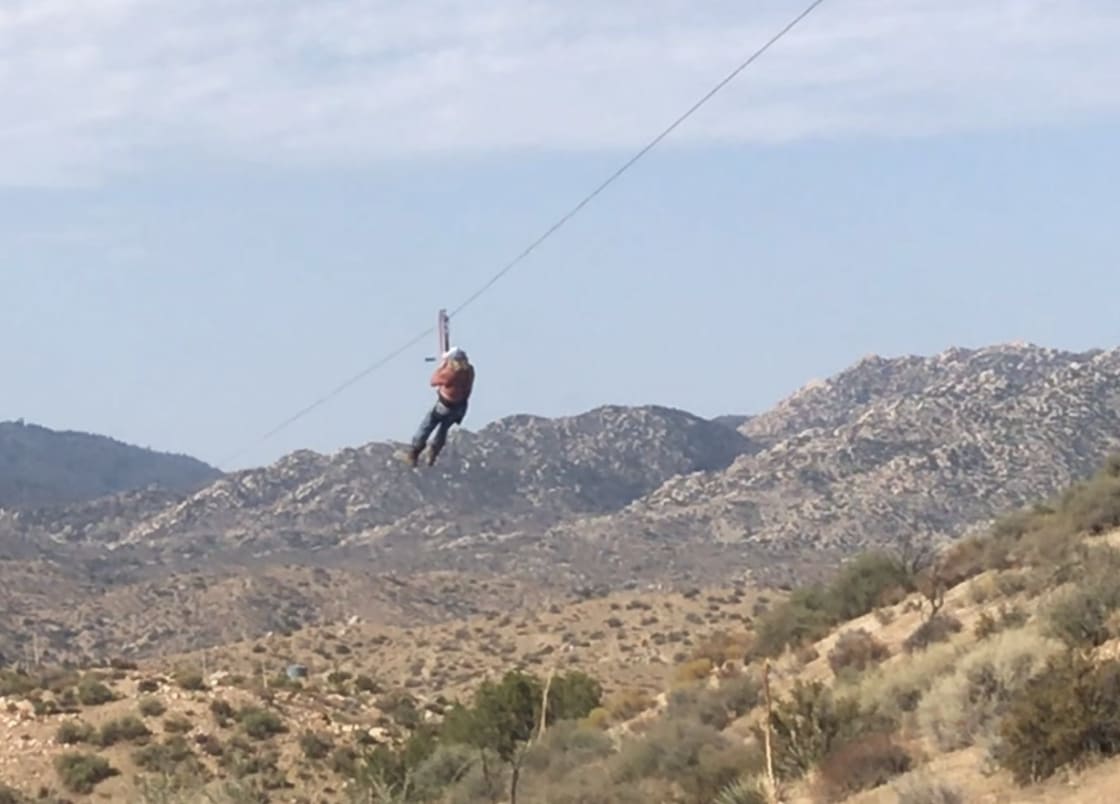 3 ziplines to ride on the property